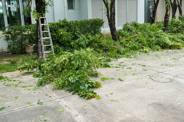 Best Arborist Consultation Services  in Deltona, FL